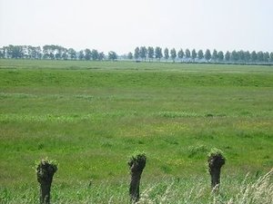 Groene Hart - Holland